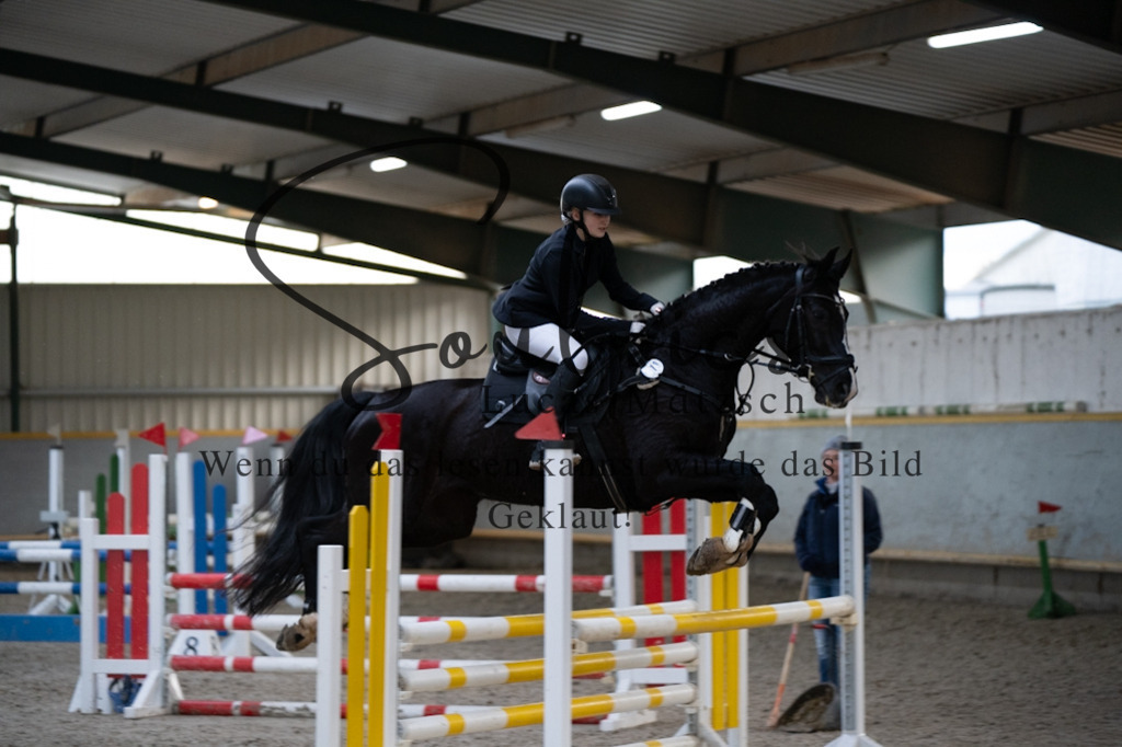 A7V02647 | Pferdefotograf