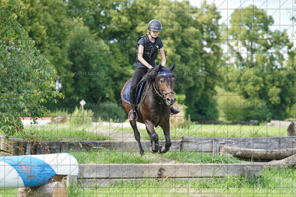 20240622-FAH08048 | Turnierfotografen Bayern, Reitsportbilder aus dem Geländekurs mit Felix Etzel auf dem Gut Waitzacker 2024