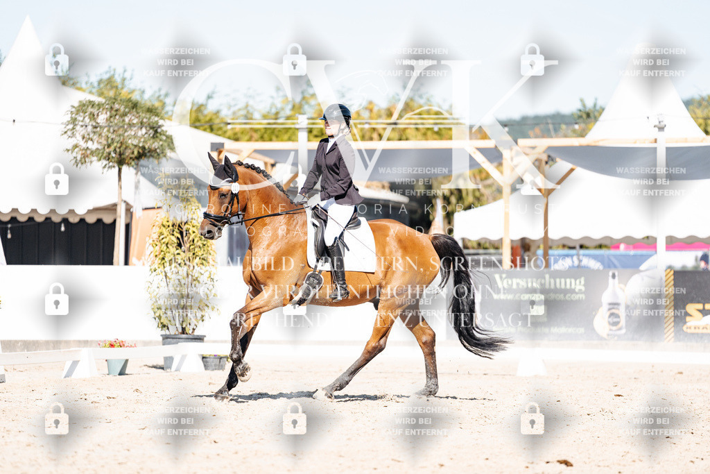 CK908131 | Turnierfotografie Pferdefotografie Trier Rheinland-Pfalz Pferdesport Reitsport Tierfotografie Sportfotografie Pferdevideo Pferdevideografie Equestrianvideography equestrianphotography  - Realisiert mit Pictrs.com