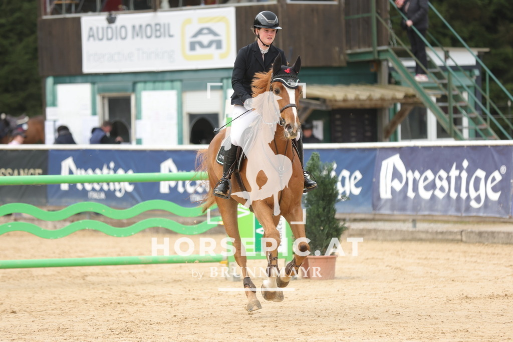 0P6A4826 | Willkommen bei Brunnmayr - Design & Fotografie – Ihrem Spezialisten für Reitturniere und Pferdeveranstaltungen in Oberösterreich, Salzburg und Bayern! Seit über 17 Jahren sind wir leidenschaftlich dabei.