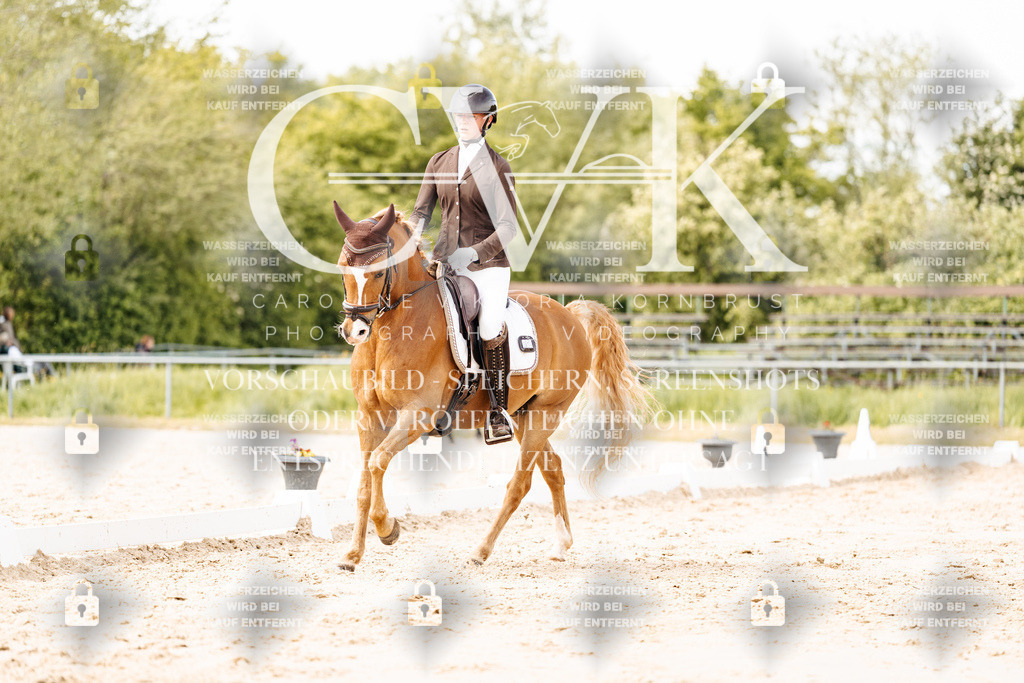 CK901412 | Turnierfotografie Pferdefotografie Trier Rheinland-Pfalz Pferdesport Reitsport Tierfotografie Sportfotografie Pferdevideo Pferdevideografie Equestrianvideography equestrianphotography  - Realisiert mit Pictrs.com