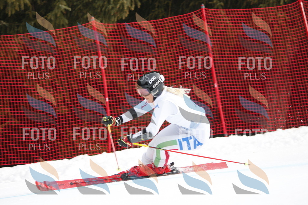 D4900 | holidayphoto