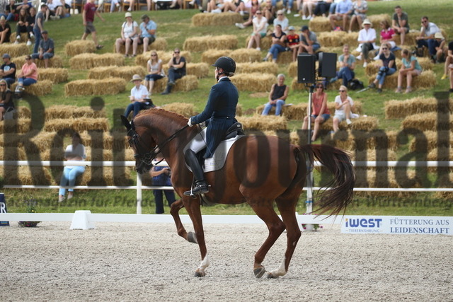 Birkhof_2022_GrandPrixSpecial_Nicole Casper_Birkhof_s Don Röschen FBW(15) | Alle Fotos der Reiterjournal Fotografin Doris Matthaes im Reiterjournal Online-Fotoshop. - Realisiert mit Pictrs.com