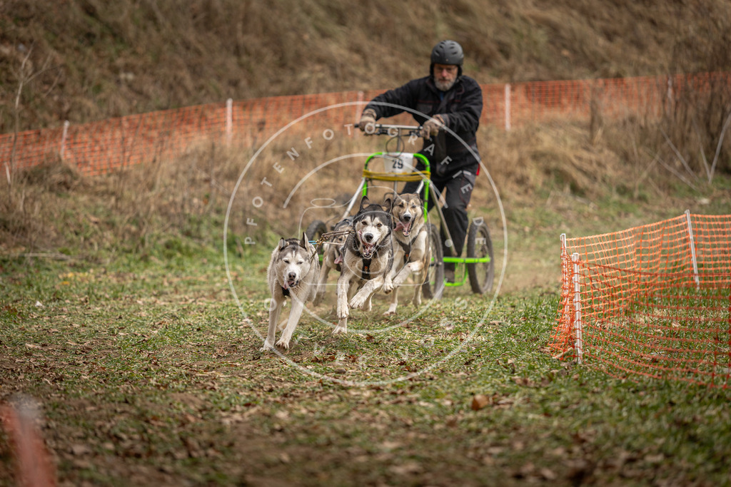 Pfotenfotografie_DV3A8367 | Hundefotografie, Tierfotograf, Pfotenfotografie, Fotoshooting Hund, Hunde Portrait, Hundesport, Hundeportraits, Heideshooting, Hunde, Sportfotograf, Hundefotograf, Turnierhundsport, THS,  - Realisiert mit Pictrs.com