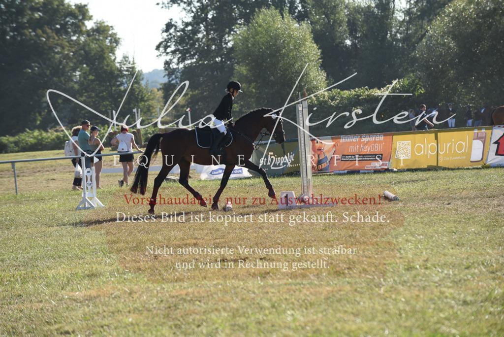 DSC_5571 | Pferde- und Turnierfotografie in Westsachsen. Pferdeportraits, Auftragszeichnungen und intuitive Kunst.