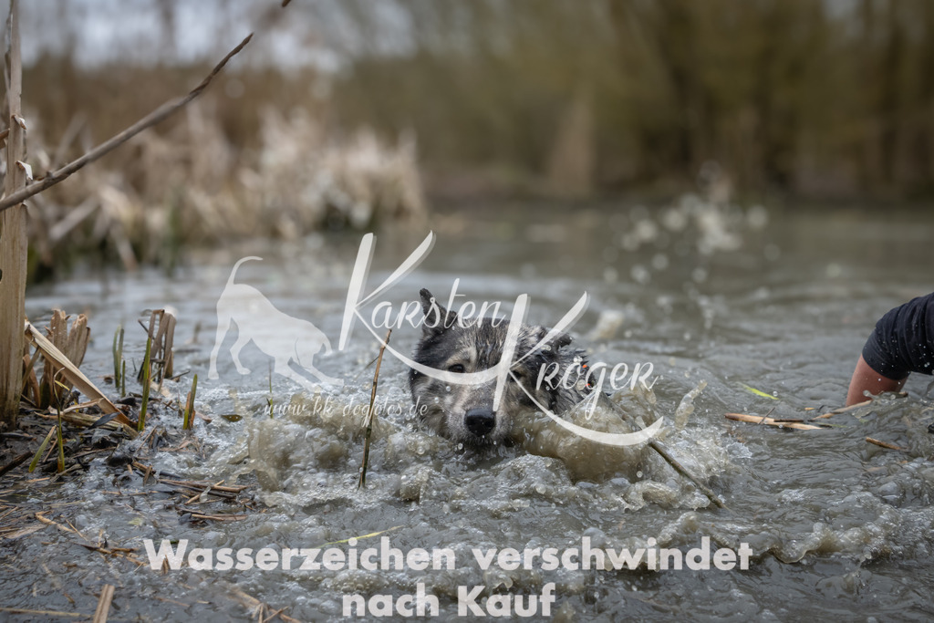 1023_ZZ99376 | kk-dogfotos