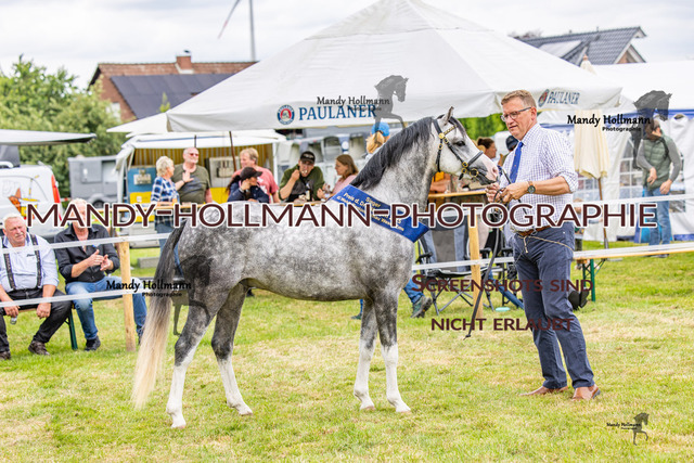 3_MG_3636 (1635) | mandyhollmannphotographie