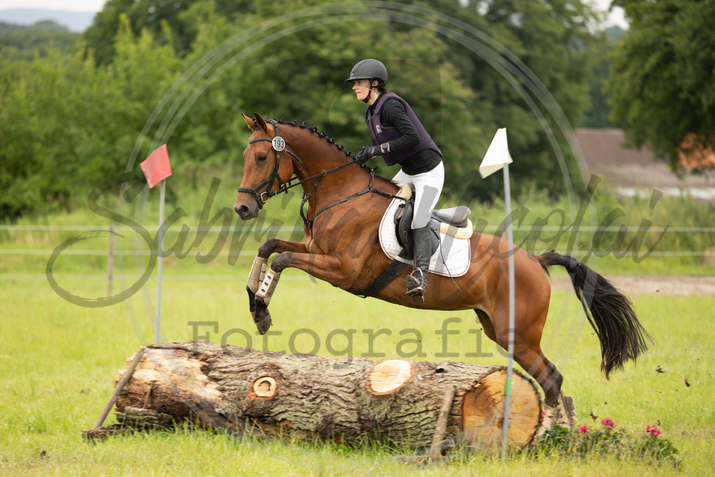 994A2316 | sabrinanicolaifotografie - Realisiert mit Pictrs.com