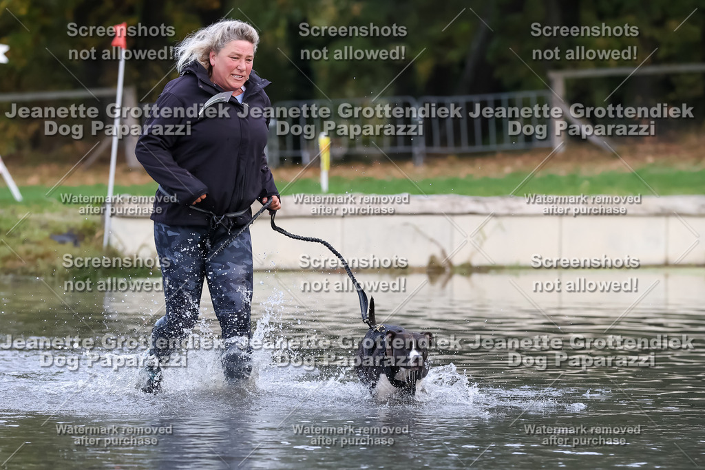 Dog Paparazzi - Strongdog 10-25-6591 | Dog Paparazzi Jeanette Grottendiek Fotografie & Videografie - Realisiert mit Pictrs.com