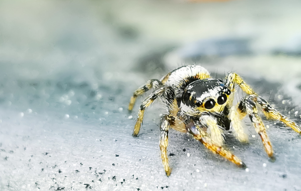 PSX_20230522_225835 | mtkfoto_ - Realisiert mit Pictrs.com