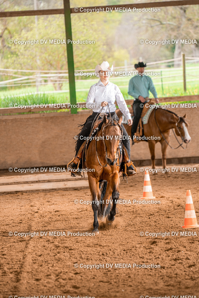 BAL00667 | dv-media-shop - Realisiert mit Pictrs.com