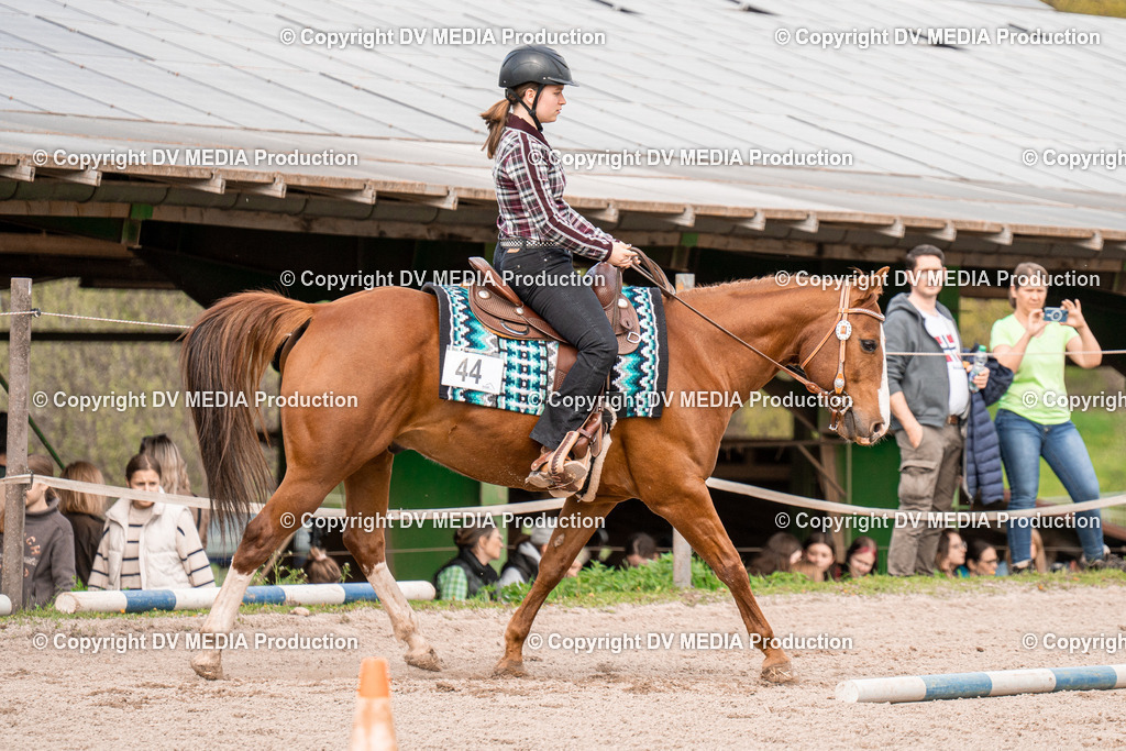 BAL02576 | dv-media-shop - Realisiert mit Pictrs.com