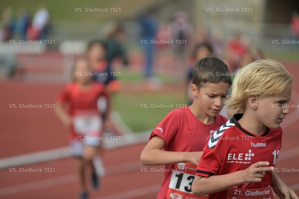 2026-08-23_Sparkassenlauf_1K5_KHT_00083 | Die Fotografen - Realisiert mit Pictrs.com