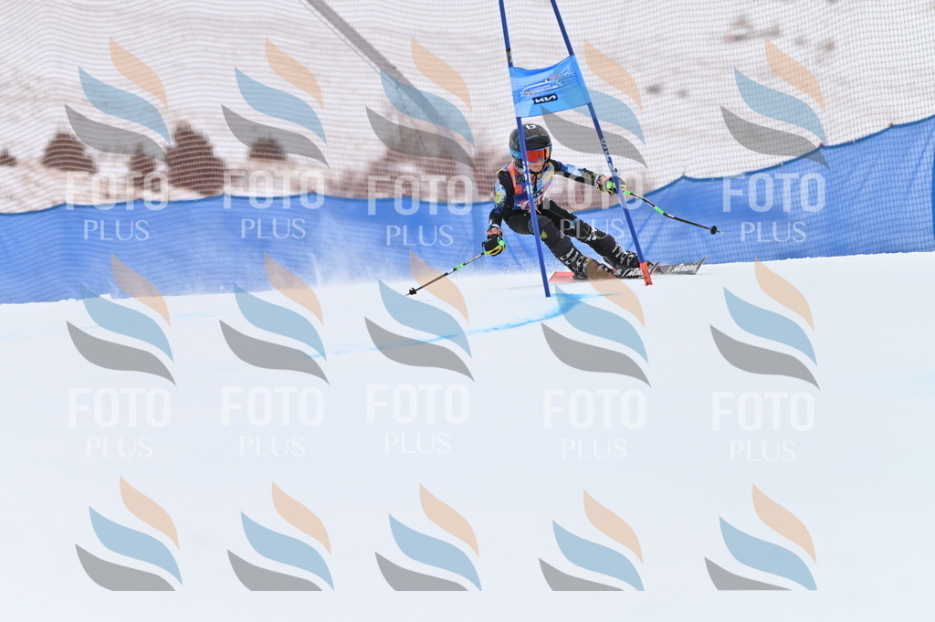 BGV_2783 | holidayphoto