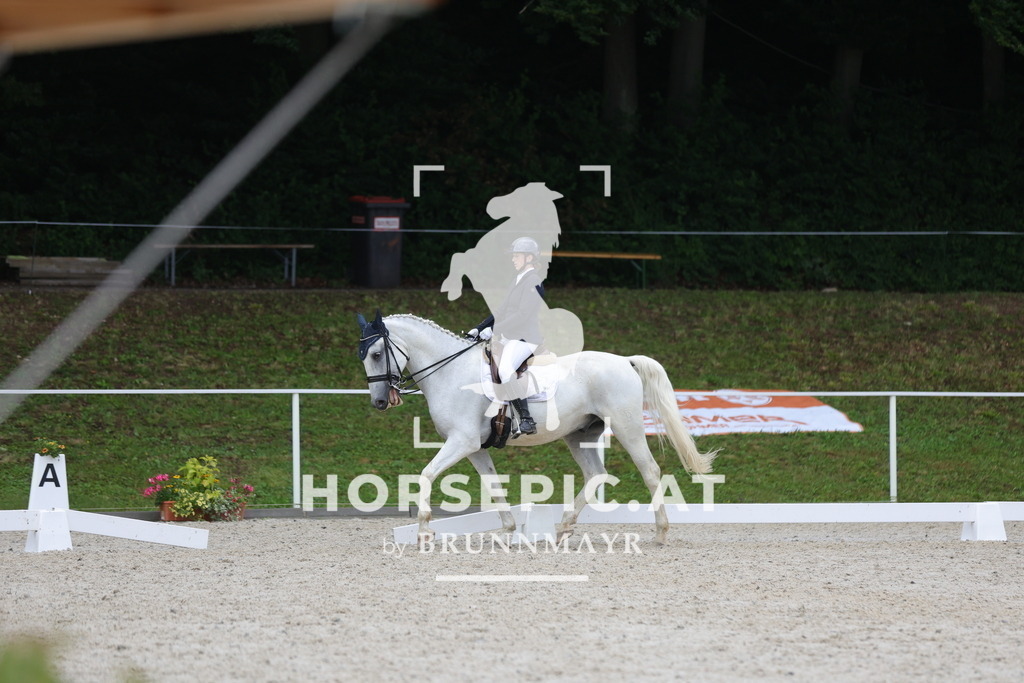 0P6A3657 | Willkommen bei Brunnmayr - Design & Fotografie – Ihrem Spezialisten für Reitturniere und Pferdeveranstaltungen in Oberösterreich, Salzburg und Bayern! Seit über 17 Jahren sind wir leidenschaftlich dabei.