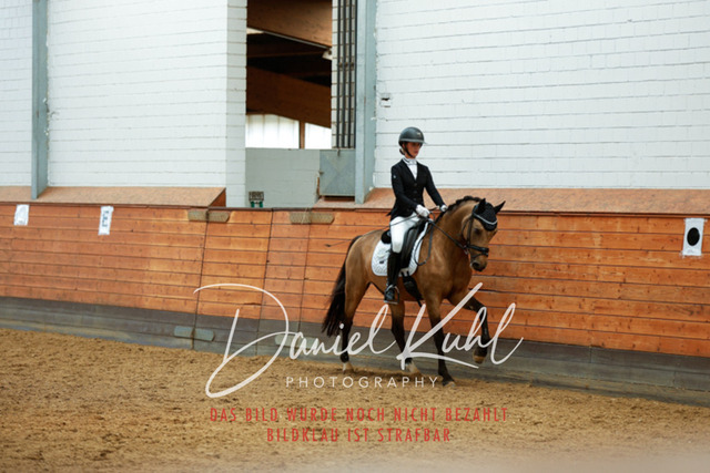 _62_4684 | Turniersportfotografie; Pferdefotografie; Dressurfotografie