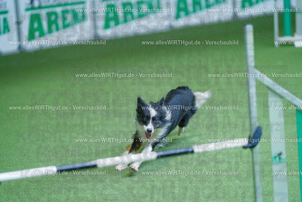 @allesWIRTHgut_Tierfotografie - www.allesWIRTHgut.de - 2604261344-7R502556 | Professionelle Tierfotografie in Mönchengladbach von Daniel Wirth (allesWIRTHgut). Liebevolle & natürliche Bilder von Hunden & Katzen für unvergessliche Erinnerungen.
