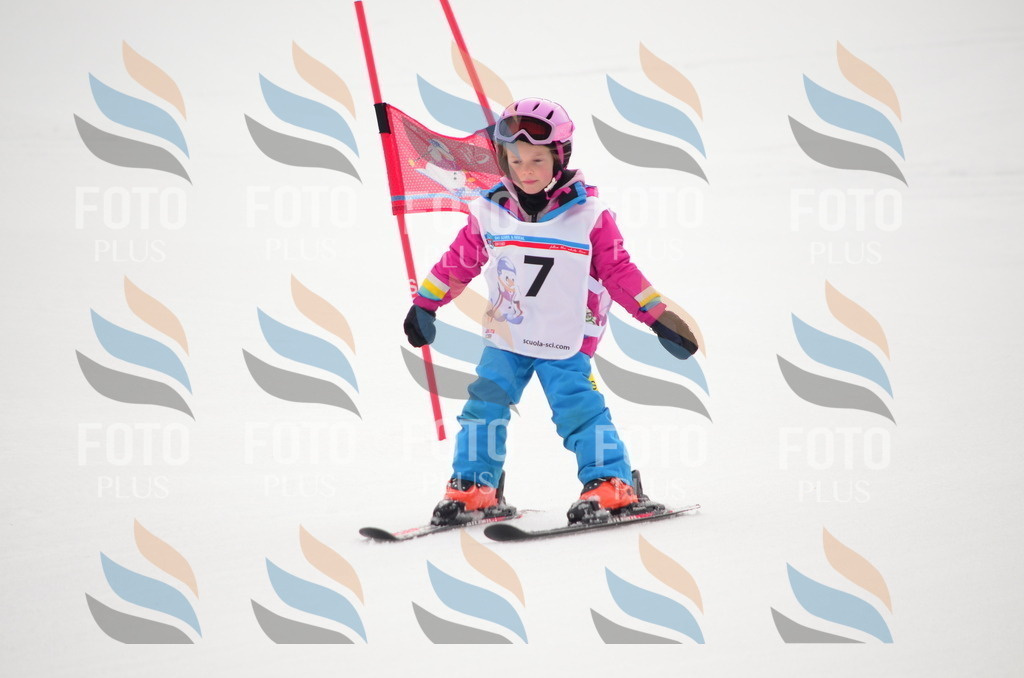 B9150 | holidayphoto