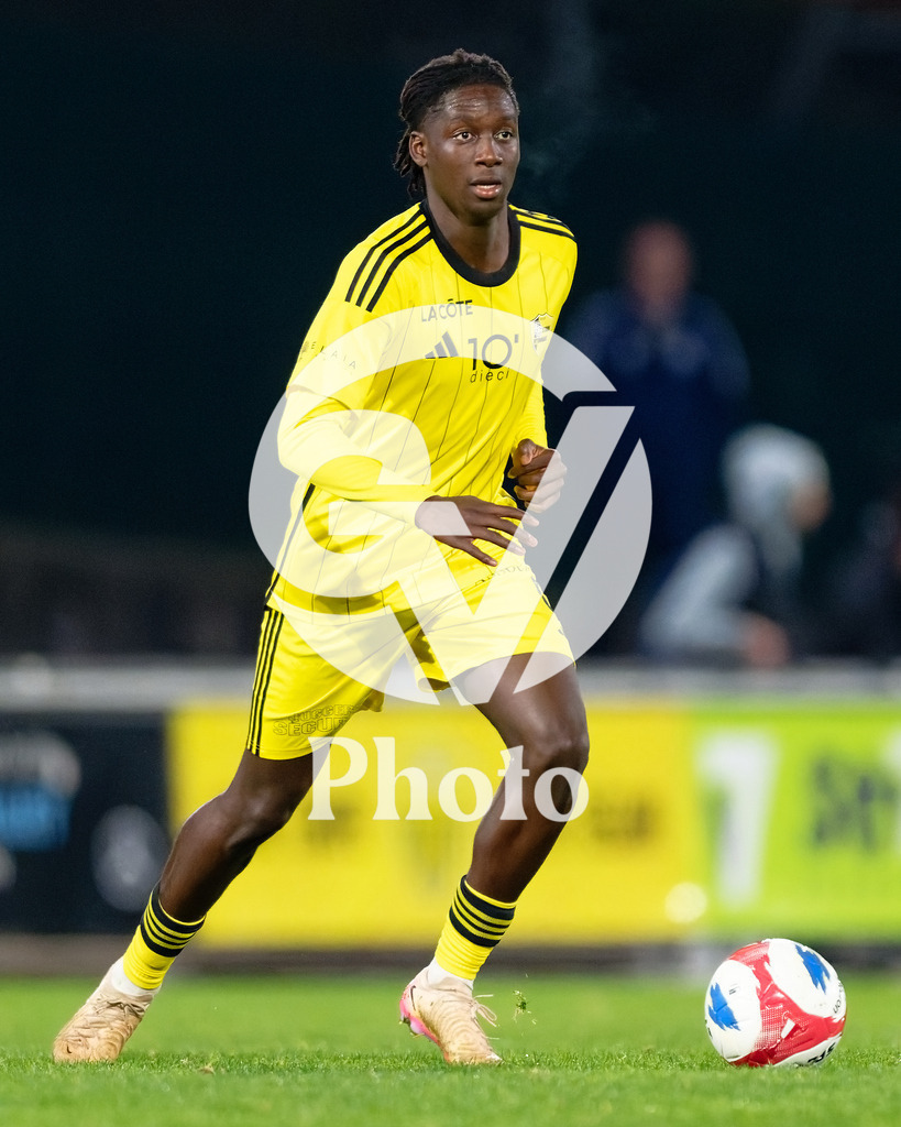 dieci Challenge League - FC Stade Nyonnais v Etoile Carouge FC |  during the dieci Challenge League match between FC Stade Nyonnais and Etoile Carouge FC at Centre sportif de Colovray in Nyon, Switzerland