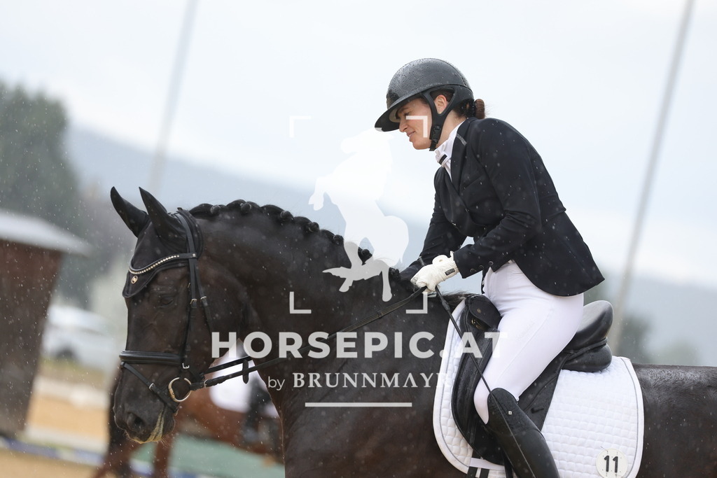 0P6A4990 | Willkommen bei Brunnmayr - Design & Fotografie – Ihrem Spezialisten für Reitturniere und Pferdeveranstaltungen in Oberösterreich, Salzburg und Bayern! Seit über 17 Jahren sind wir leidenschaftlich dabei.