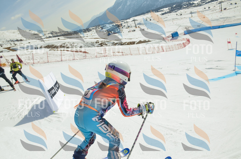 _ELE4551 | holidayphoto