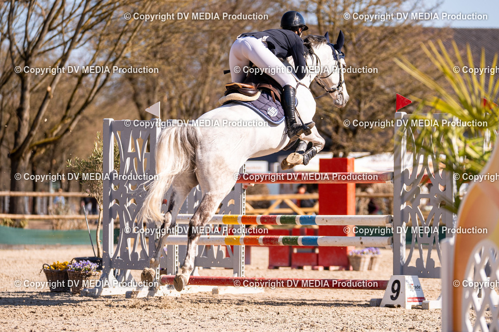 Kranichstein Tag 2-746 | dv-media-shop - Realisiert mit Pictrs.com