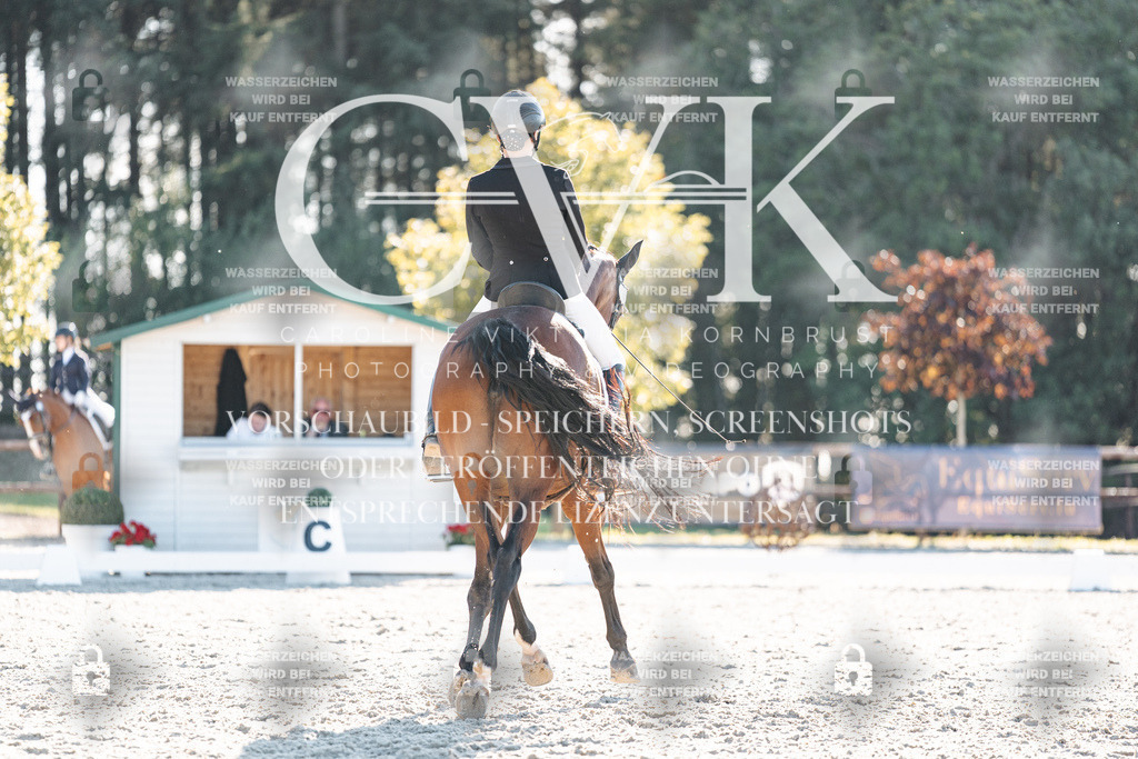 CK906751 | Turnierfotografie Pferdefotografie Trier Rheinland-Pfalz Pferdesport Reitsport Tierfotografie Sportfotografie Pferdevideo Pferdevideografie Equestrianvideography equestrianphotography  - Realisiert mit Pictrs.com