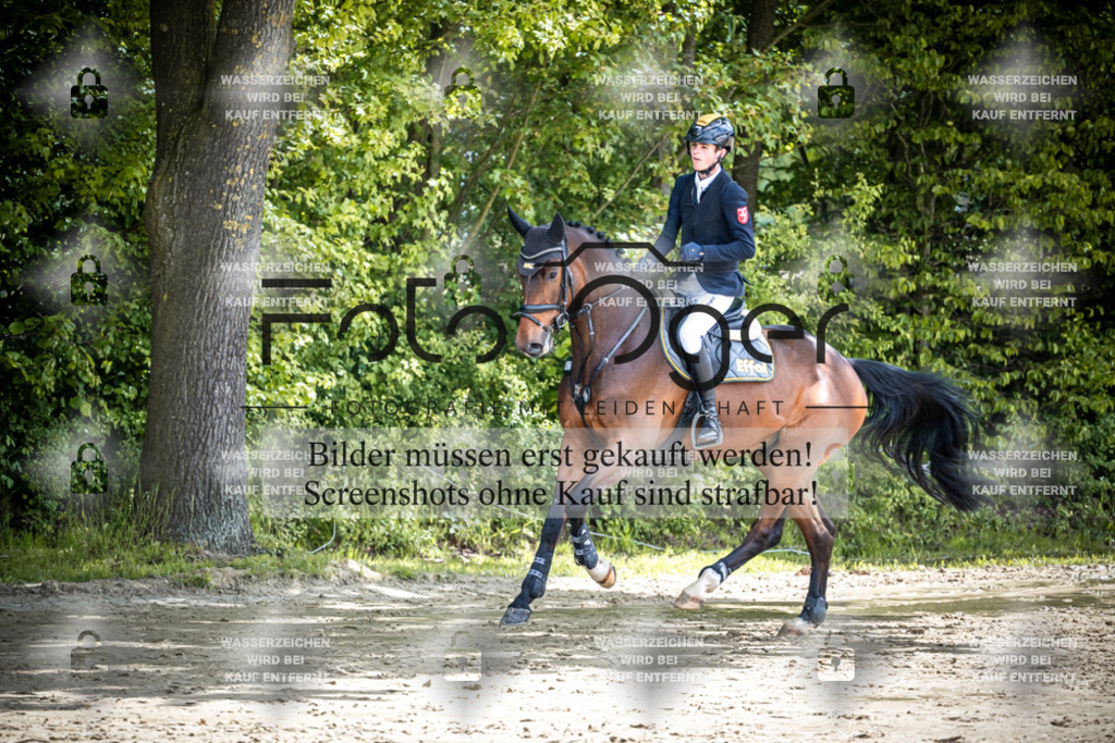 DOS_2079 | Reitturnier Lüdinghausen - Realisiert mit Pictrs.com