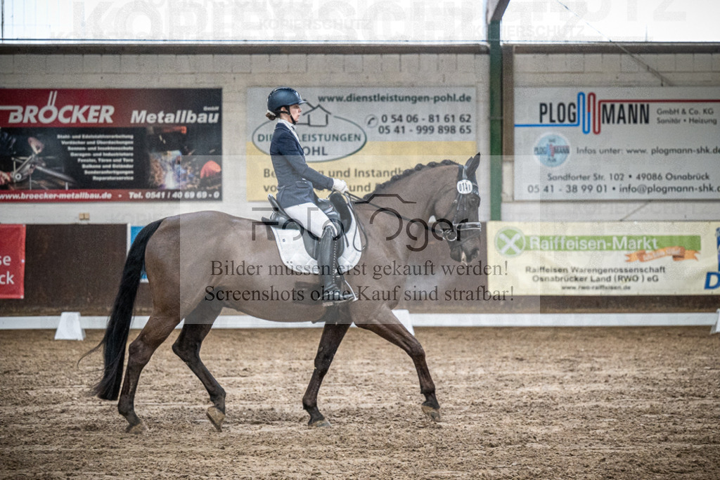DOS_0304 | Entdecke hochwertige Reitturnierfotos von Foto Oger. Professionell, emotional und authentisch – jetzt Lieblingsmomente im Shop bestellen.Deutschlandweite Turnierfotografie. - Realisiert mit Pictrs.com