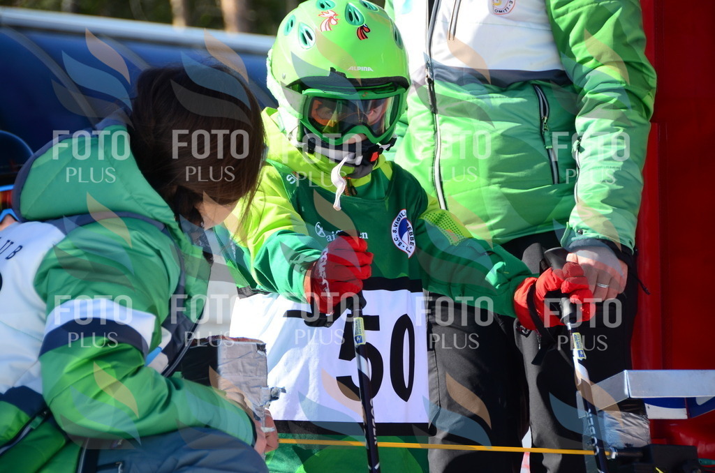 C5185 | holidayphoto