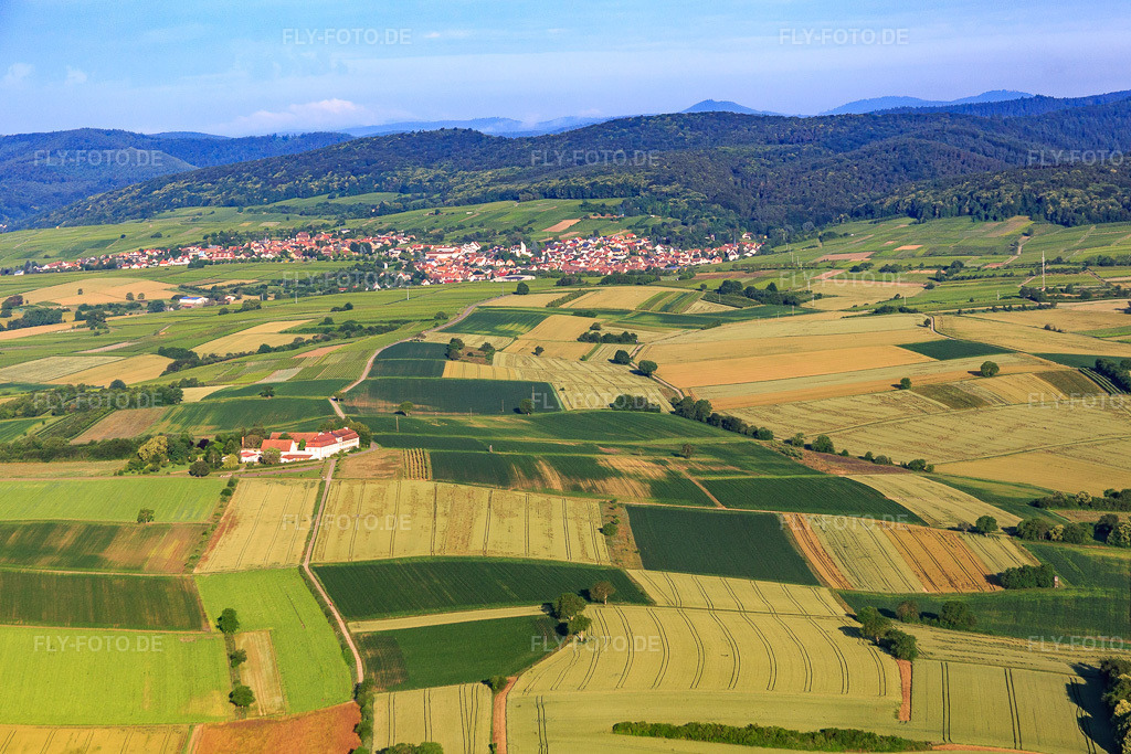 Luftbild: Winzerdorfansicht aus Osten im Ortsteil Rechtenbach in Schweigen-Rechtenbach im Bundesland Rheinland-Pfalz in Deutschland. Foto: IMG_089926.jpg vom 26.06.2016 durch Werner Riehm/FLY-FOTO.de
