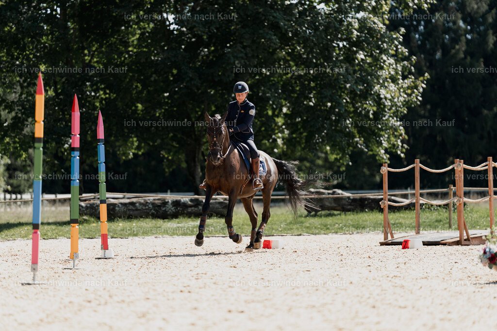 Mirjam25_FHC2025-08683 | working equitationturnier fotograf videograf stoibphotography marixx film working equitation deutschland reitsport turnierfotografie eventfotografie equestrian events