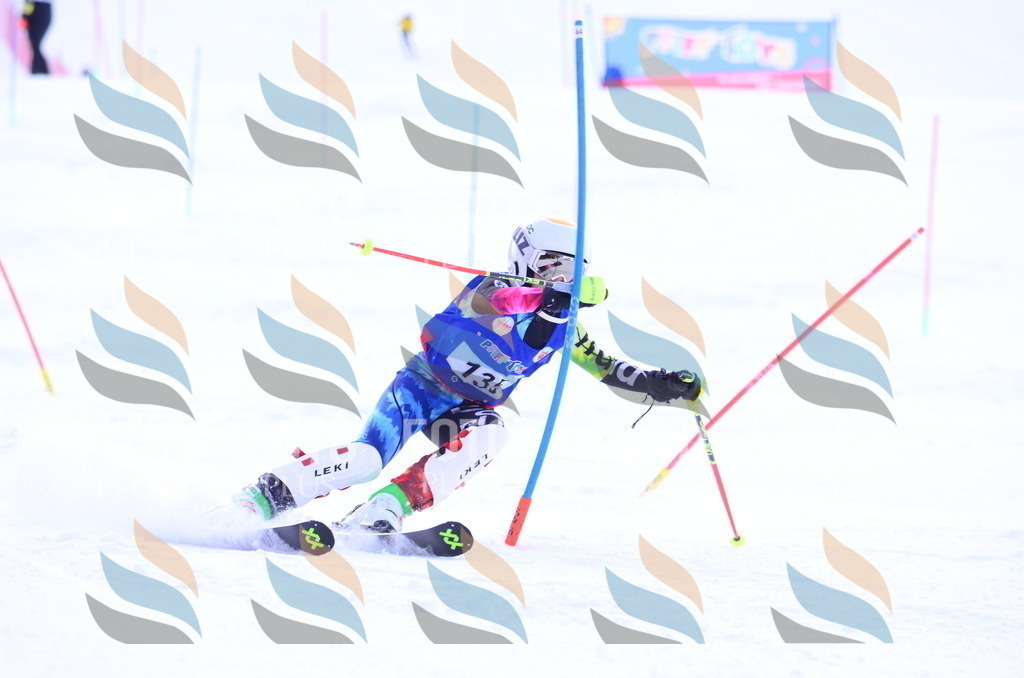 B1808 | holidayphoto