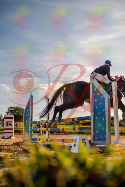 2026_10_03_Siefer-Hof_171836_Z63_22224477 | Professionelle Reitsport-, Turnier- und Eventfotografie von Robert Broda. Galerien mit ausgewählten und bearbeiteten Bildern direkt online ansehen und bestellen.