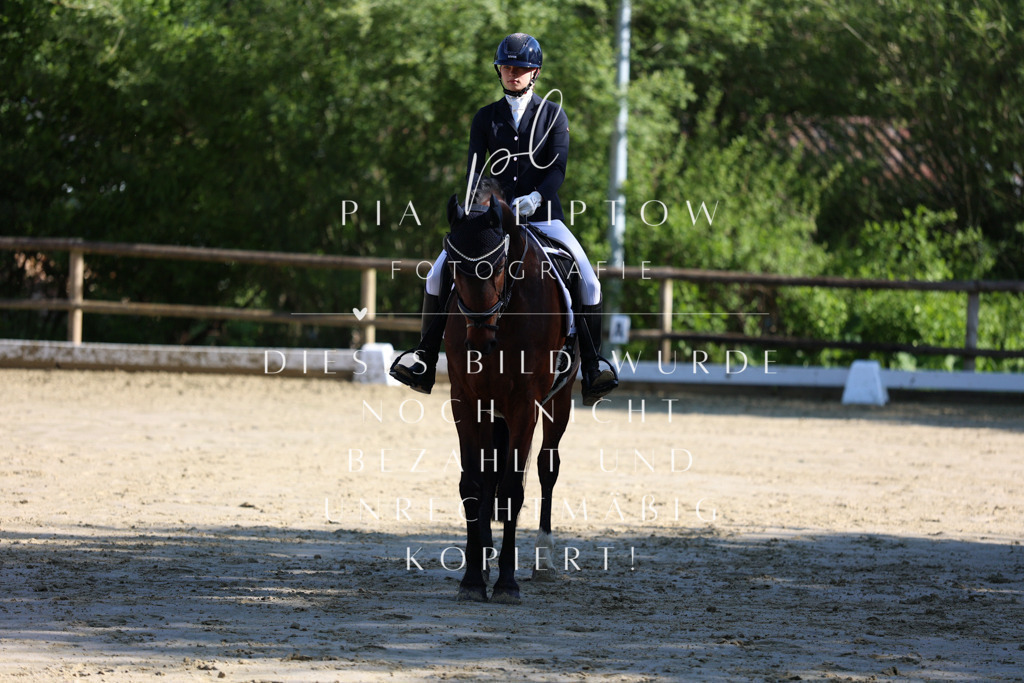 IMGT9547 | pl-fotografie