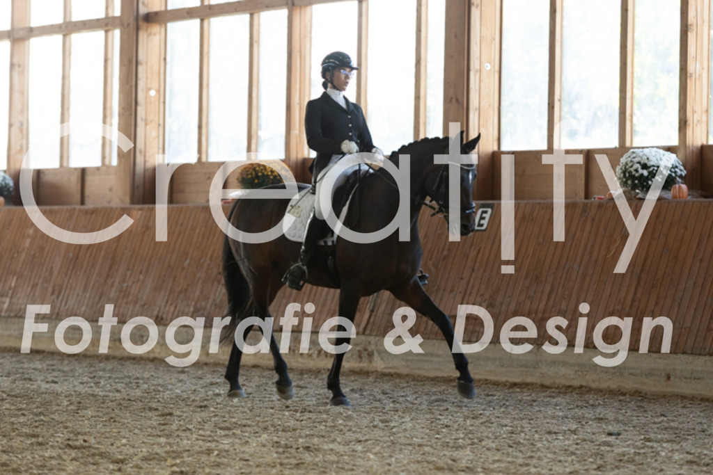 IMG_3711 | Creatify Fotografie