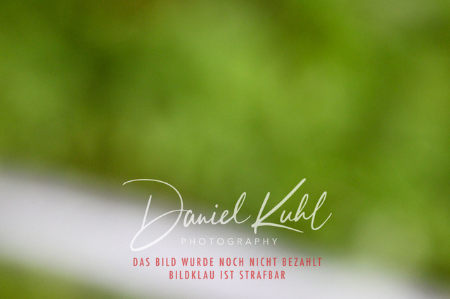 DKP45612 | Turniersportfotografie; Pferdefotografie; Dressurfotografie