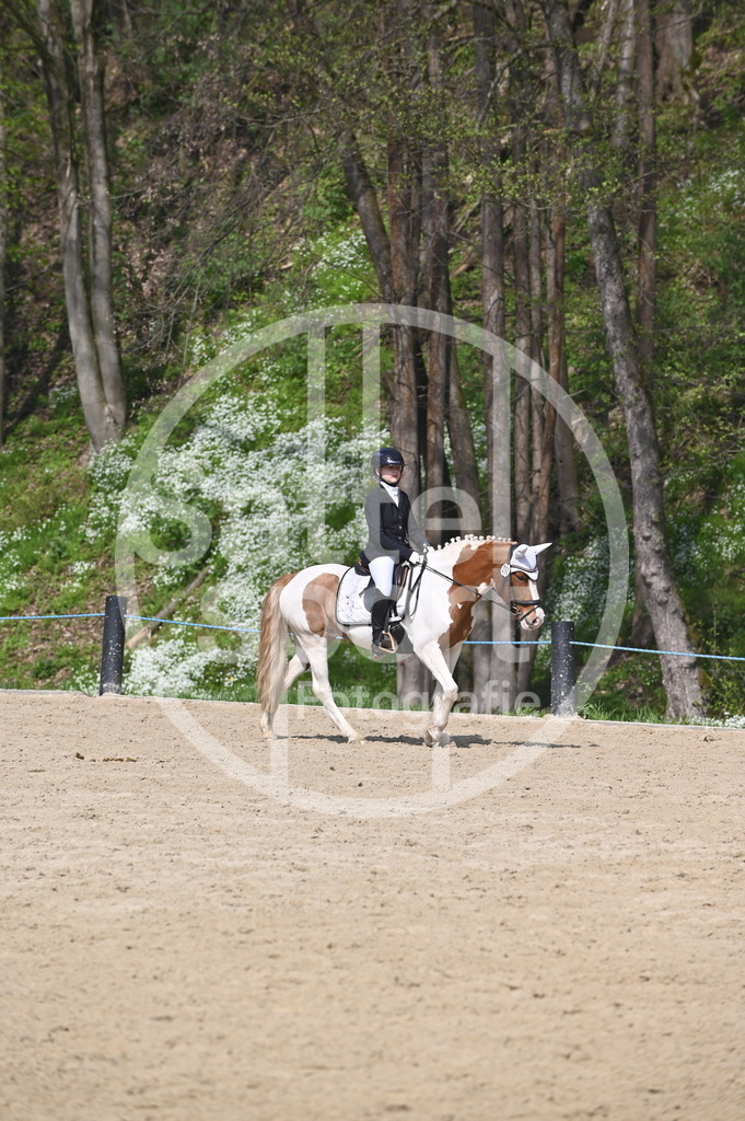 DSC_1047 | sattelsport - Realisiert mit Pictrs.com