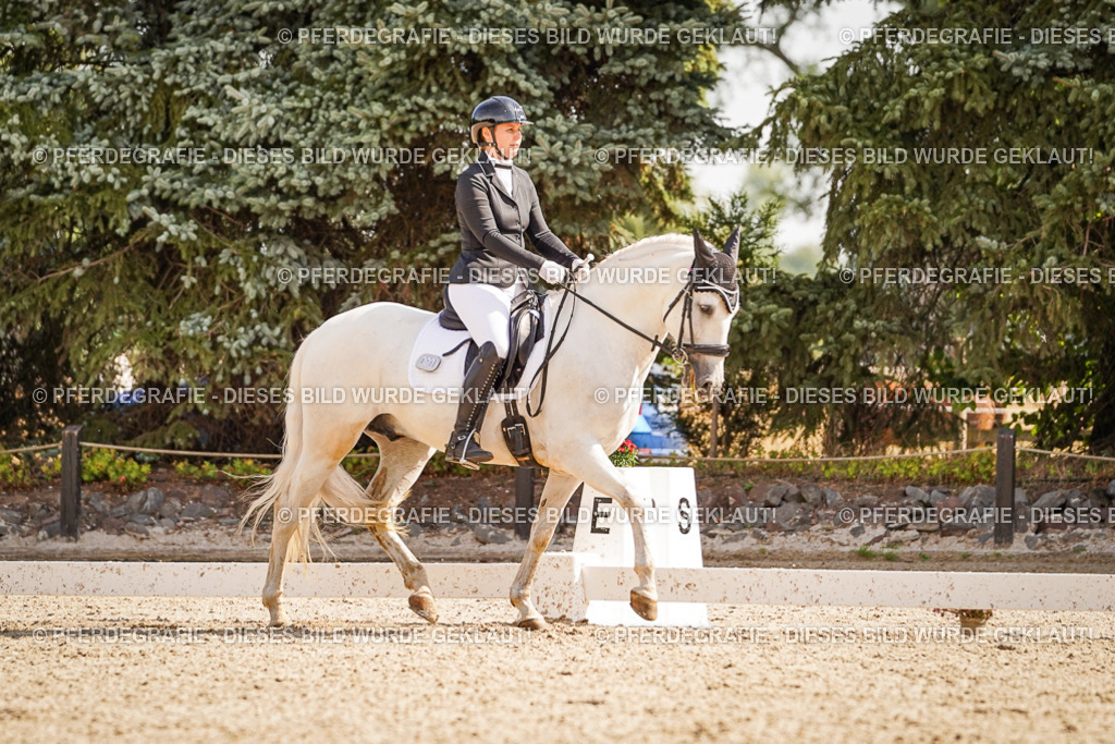 DSC01072 | Pferdegrafie