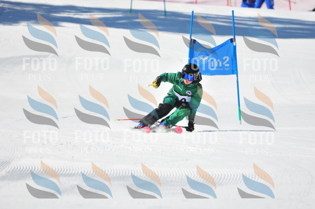 C3179 | holidayphoto