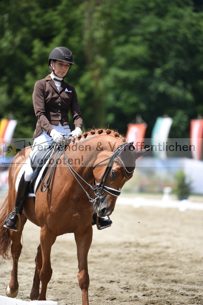 DSC_9258 | equestrian-live-com