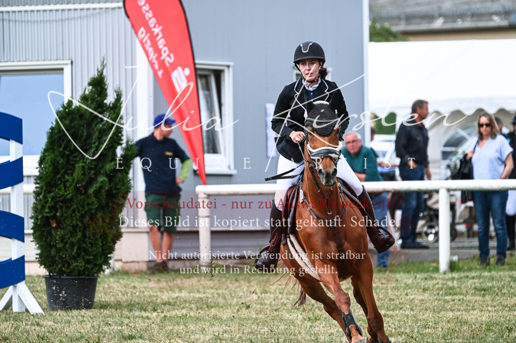 DSC_9093 | Pferde- und Turnierfotografie in Westsachsen. Pferdeportraits, Auftragszeichnungen und intuitive Kunst.