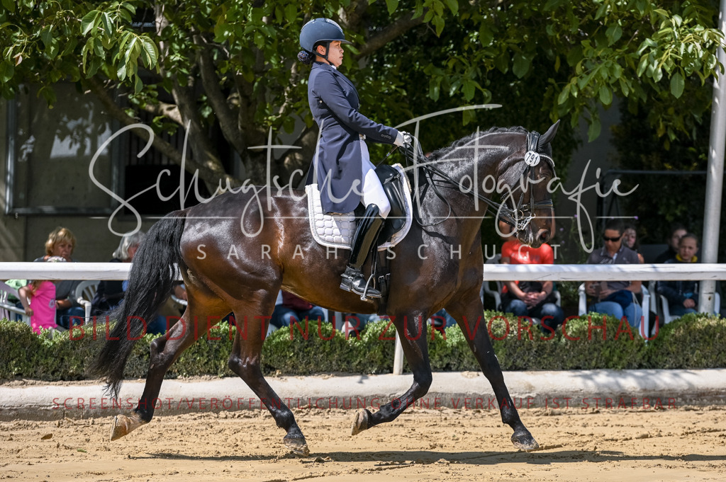 Schugtsche-Aluta25-58. Dressurprf.S1Kand.St.GeorgSpecial-53 | Schugtsche Fotografie - Realisiert mit Pictrs.com