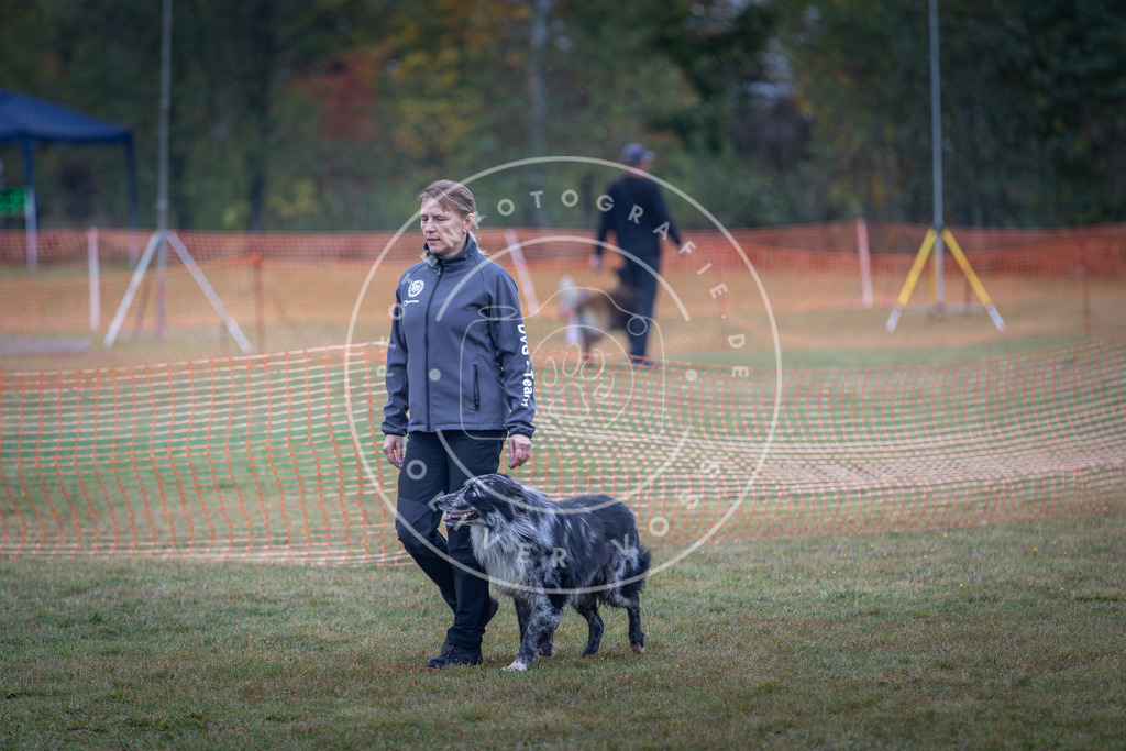 Pfotenfotografie_DV3A9421 | Hundefotografie, Tierfotograf, Pfotenfotografie, Fotoshooting Hund, Hunde Portrait, Hundesport, Hundeportraits, Heideshooting, Hunde, Sportfotograf, Hundefotograf, Turnierhundsport, THS,  - Realisiert mit Pictrs.com