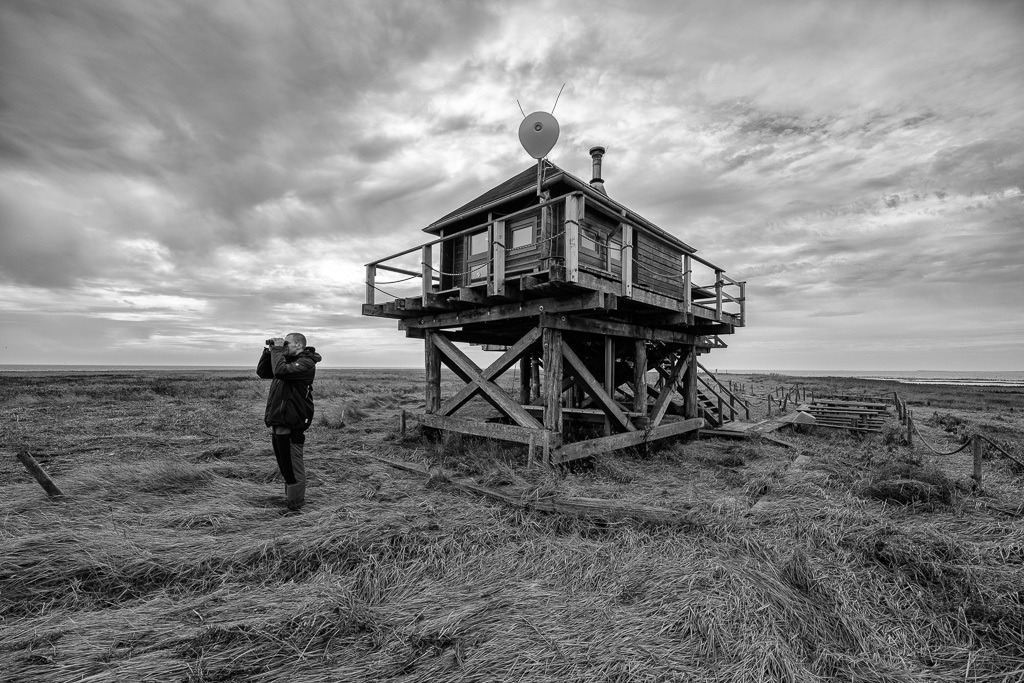 Vogelwart Nils Bayer auf Hallig Norderoog © Holger Rüdel | Der Online-Shop von Holger Rüdel. Ausgewählte Fotografien als FineArt-Prints bestellen: Bildreportagen, Landschaften, Wildlife, History, Infrarot-Motive in Schwarzweiß und Verschiedenes.  - Realisiert mit Pictrs.com