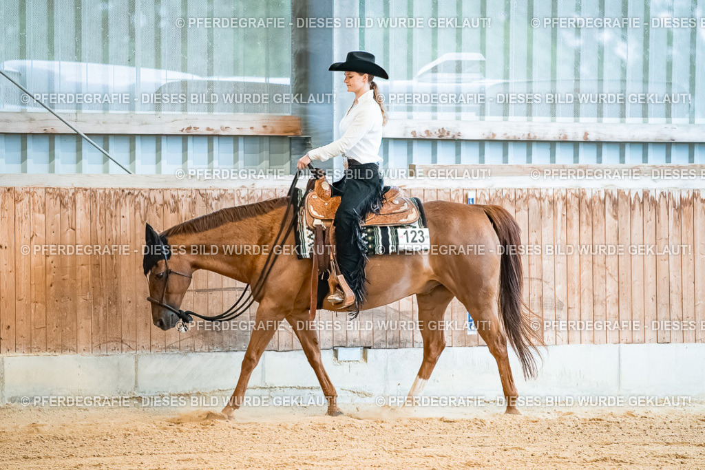 DSC09947 | Pferdegrafie