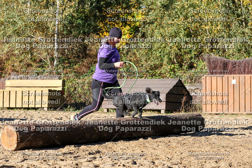 Dog Paparazzi - Strongdog 10-25-1880 | Dog Paparazzi Jeanette Grottendiek Fotografie & Videografie - Realisiert mit Pictrs.com