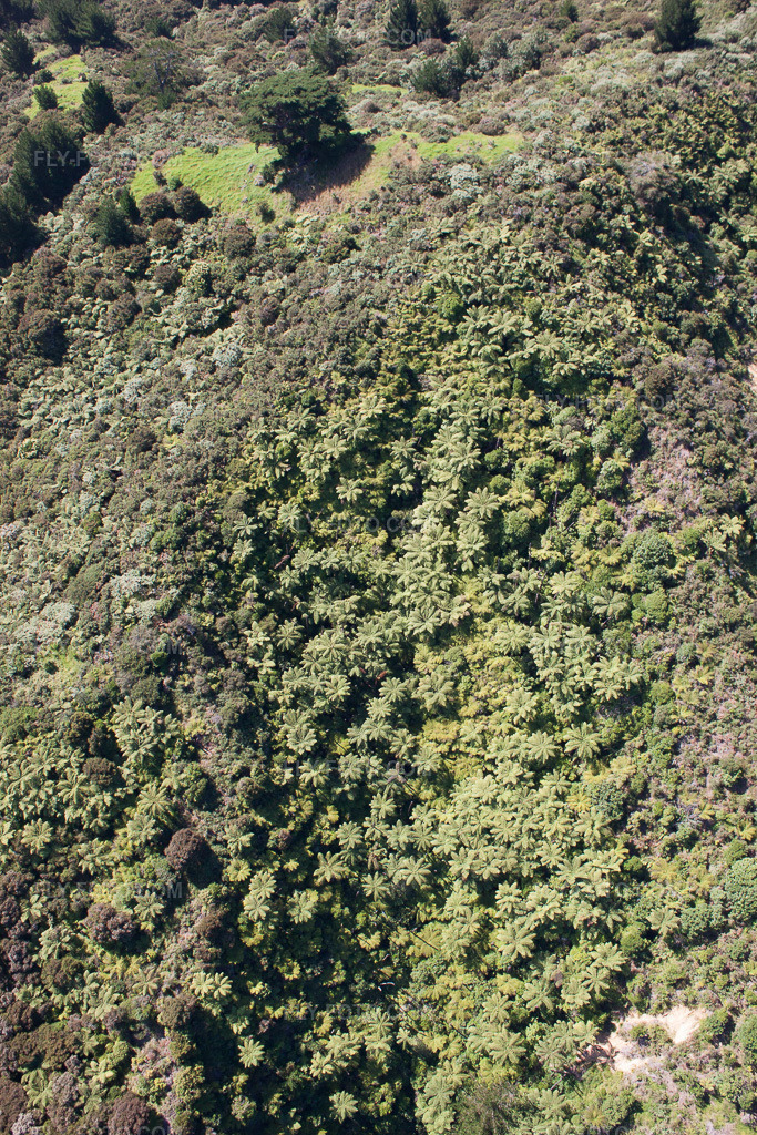 Aerial view: View of the town in Coromandel in the state Waikato, New Zealand.Photo: IMG_55783.jpg taken on 01/12/2013 by Werner Riehm/FLY-FOTO.comResolution of the original: 3168 x 4752 px