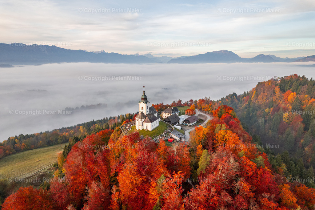 Sternberg_Herbst-304 | piet_flosse