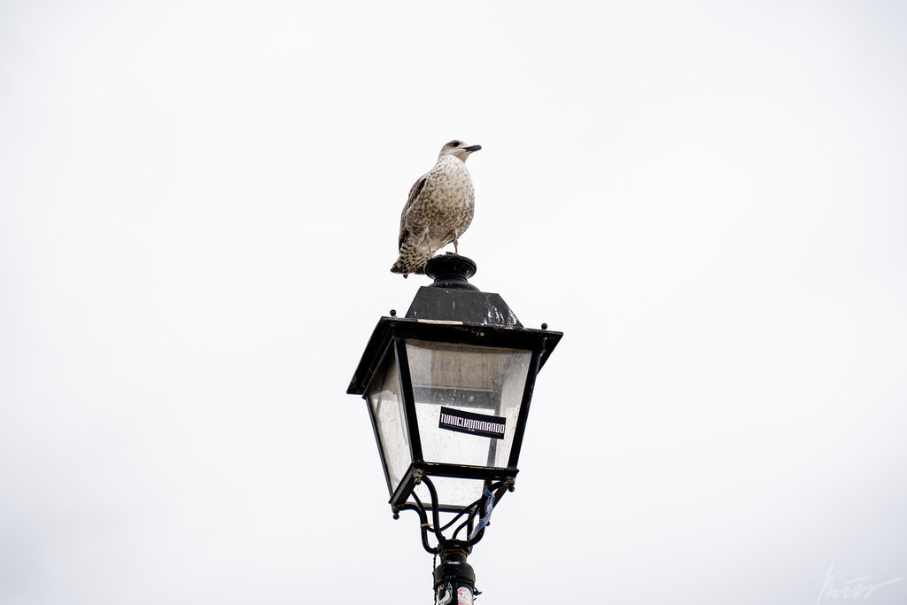 _DSC2132 | In meinem Onlineshop biete ich nur sehr kritisch ausgewählte Fotografien an. Diese sind von meinen Reisen oder Kurztrips. Ich habe sie ausgewählt, da diese meiner Meinung Nach wunderbare Wandbilder darstellen.  - Realisiert mit Pictrs.com